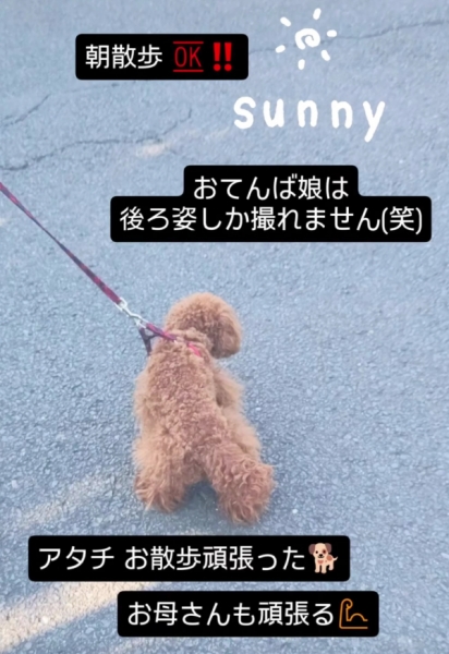 お散歩