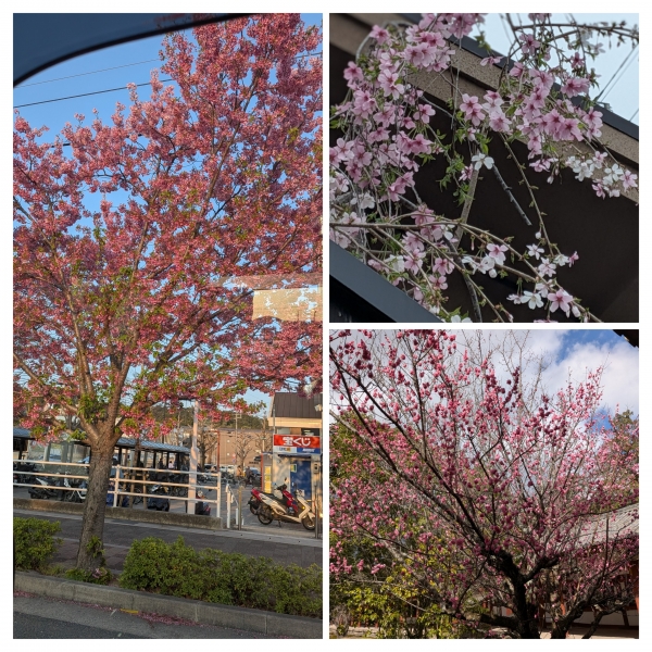 アーモンドもあり