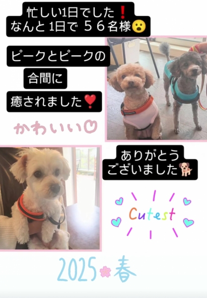 癒し